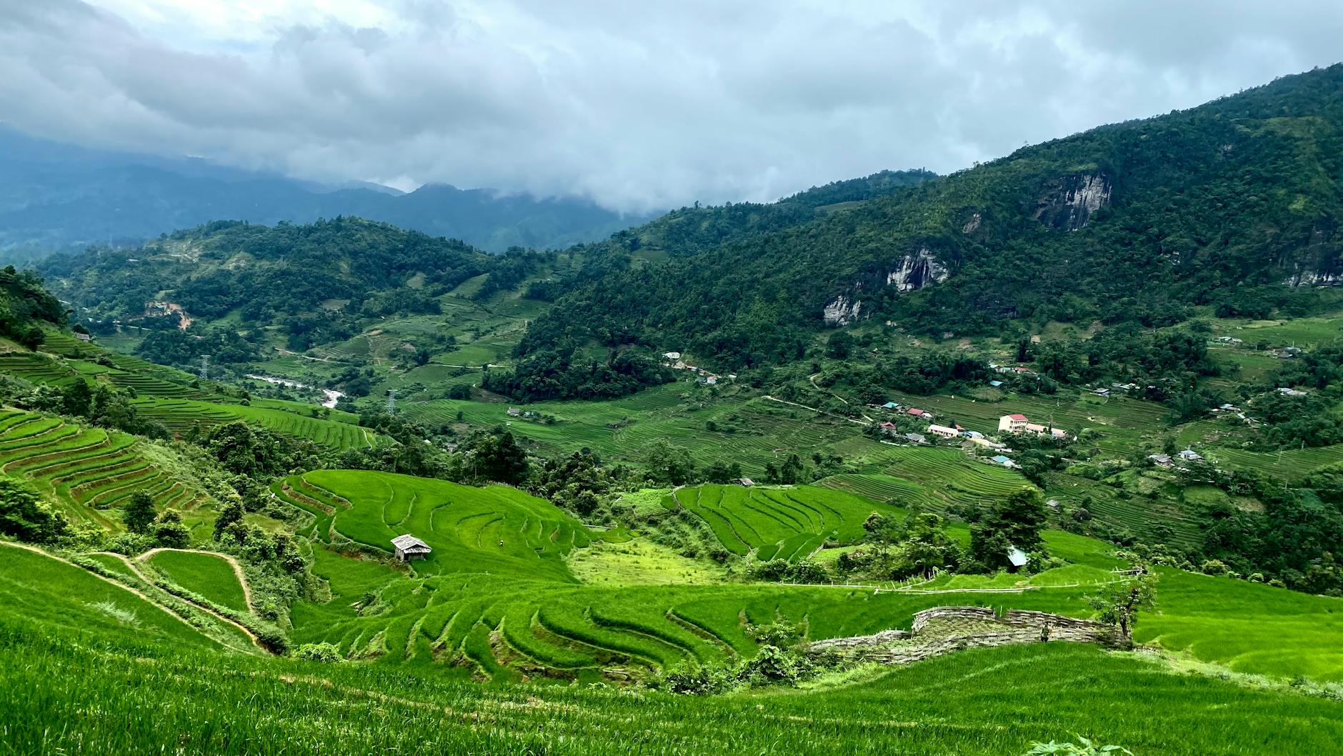 Terraced green hillside with morning mist rising through the valley