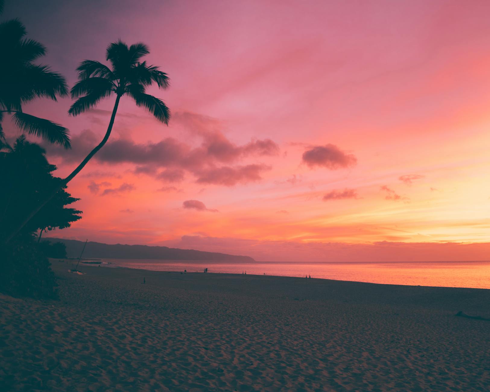 Tropical beach with palm trees and crystal-clear shallow water