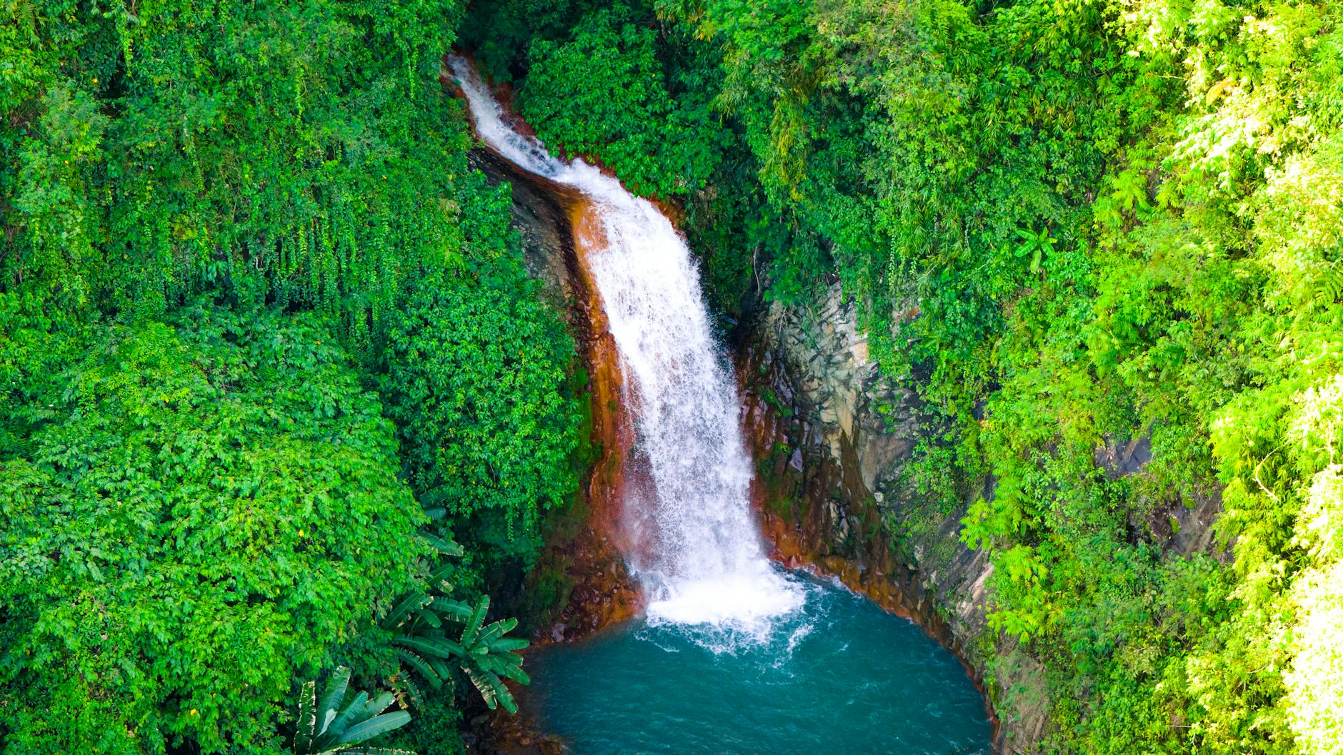 Crystal-clear water and vibrant coral reef teeming with tropical fish