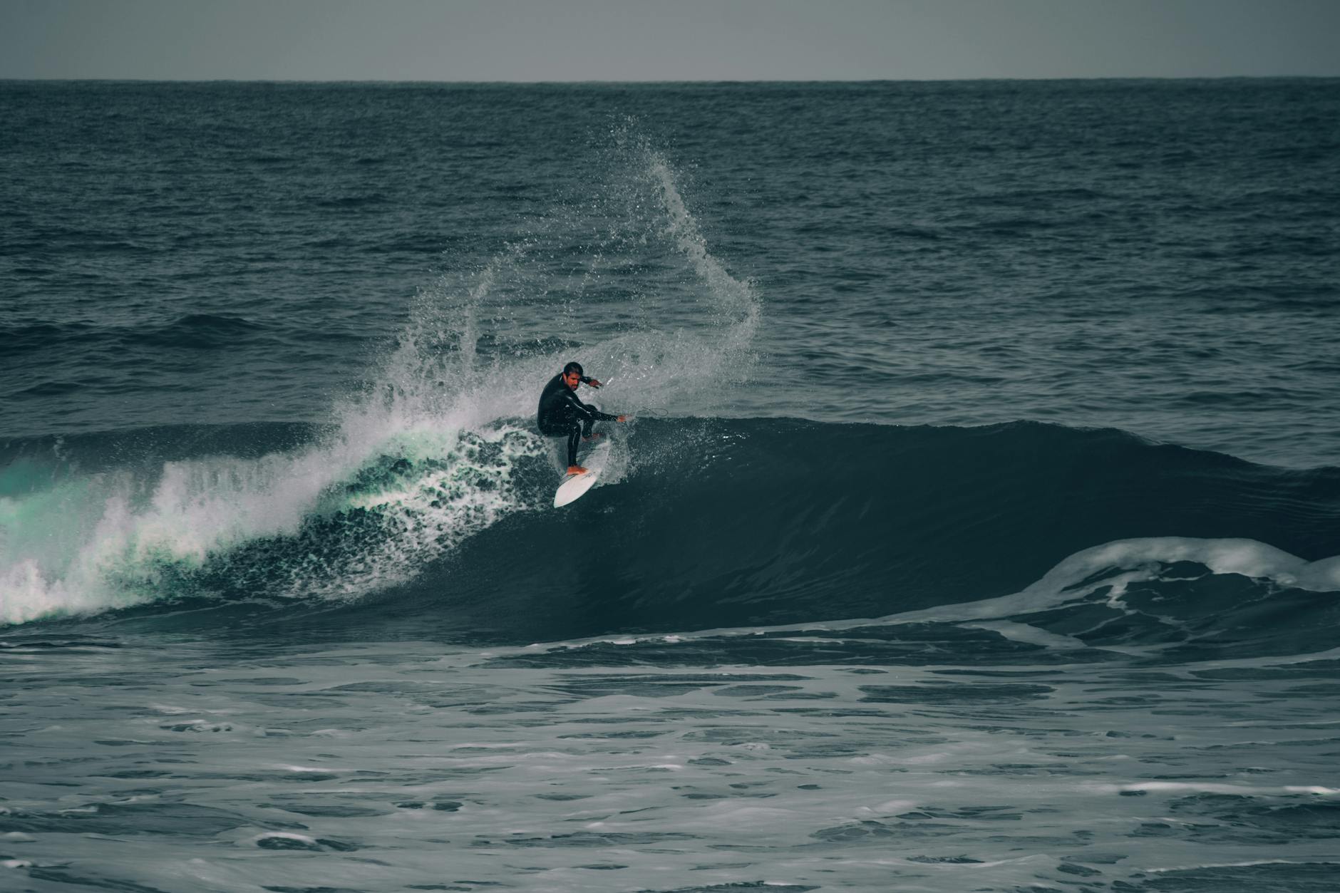 Surfer riding a tropical wave with palm trees visible in the background