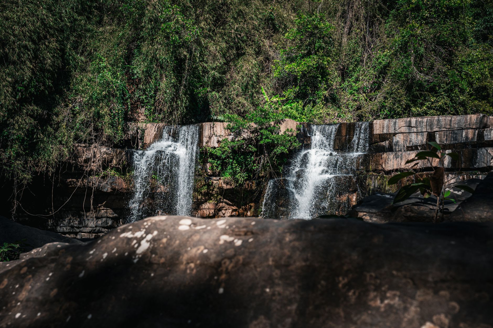 El camino a través de la densa selva tropical que lleva a Suoi Tranh, la luz filtrándose en rayos verdes a través del dosel