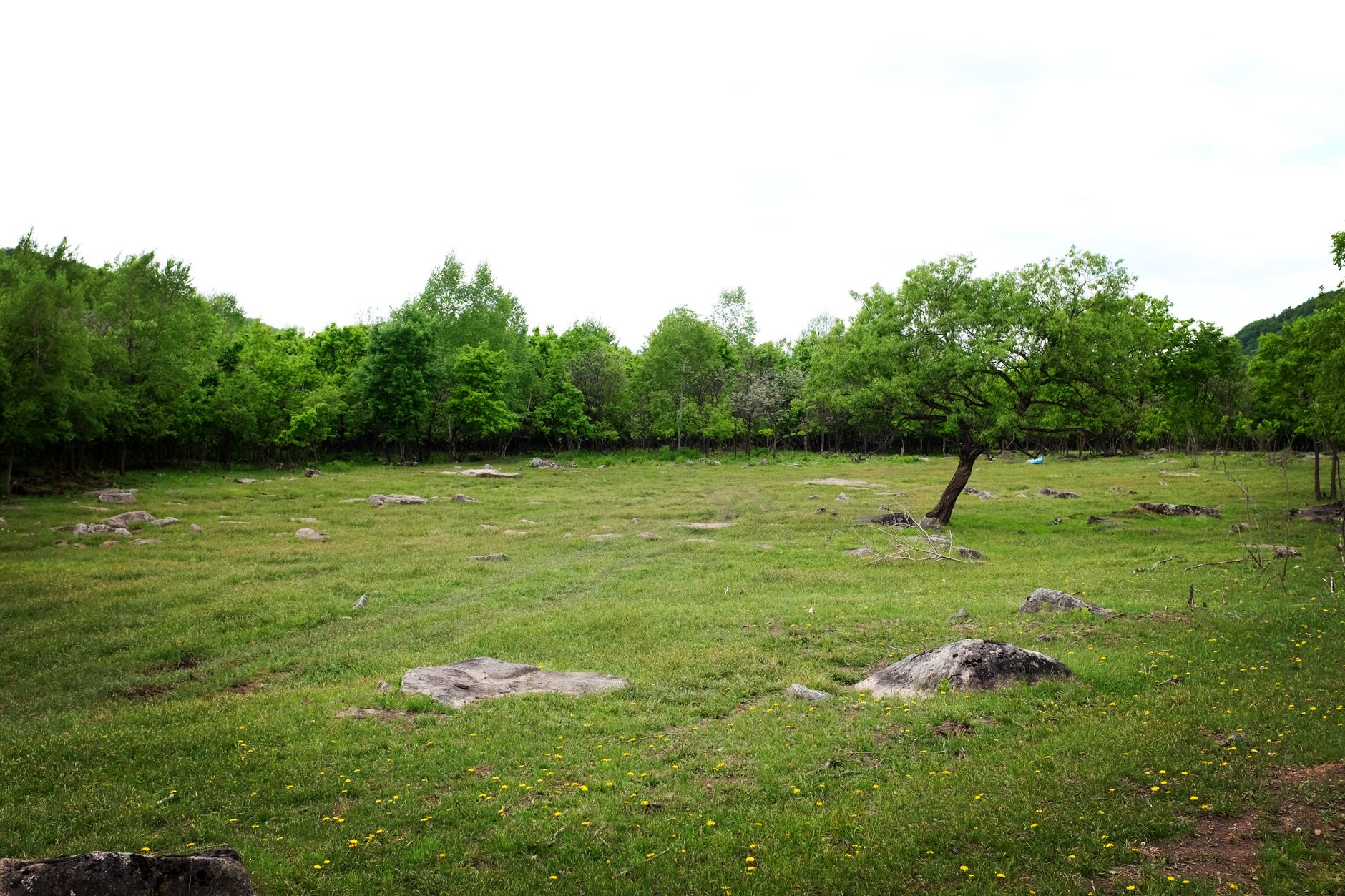 A bomb crater sits alongside ancient stone jars at Site 1, two eras of history occupying the same red earth
