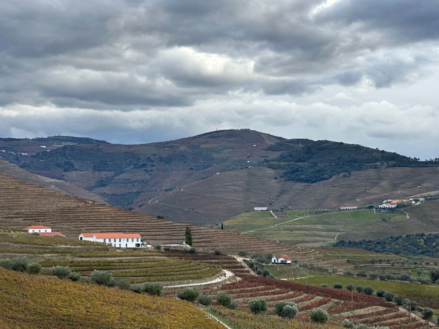 Wide vineyard plateau near Alijó under a big open sky with a distant quinta building
