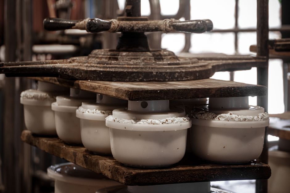 Wooden molds of soft queijo de Azeitão sheep cheese at a small family dairy