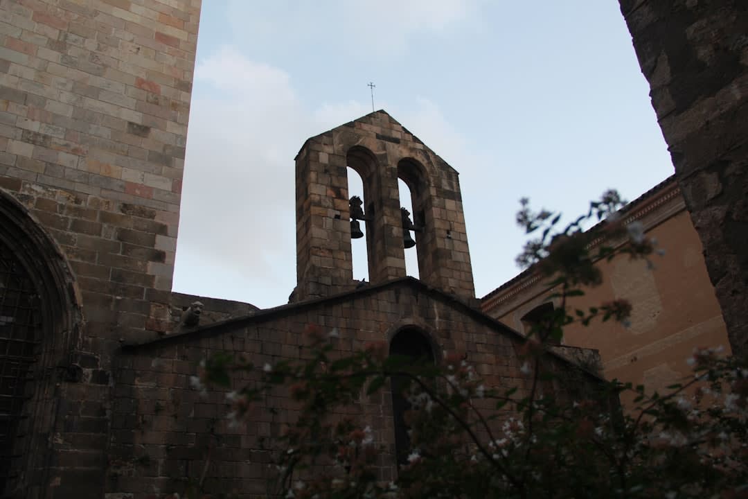 The pentagonal Romanesque Domus Municipalis building inside Bragança's citadel at dusk