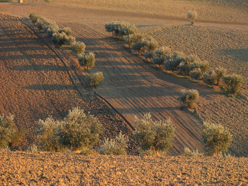 Terraced olive groves and almond orchards seen from the clifftop walls of Castelo Rodrigo at sunset