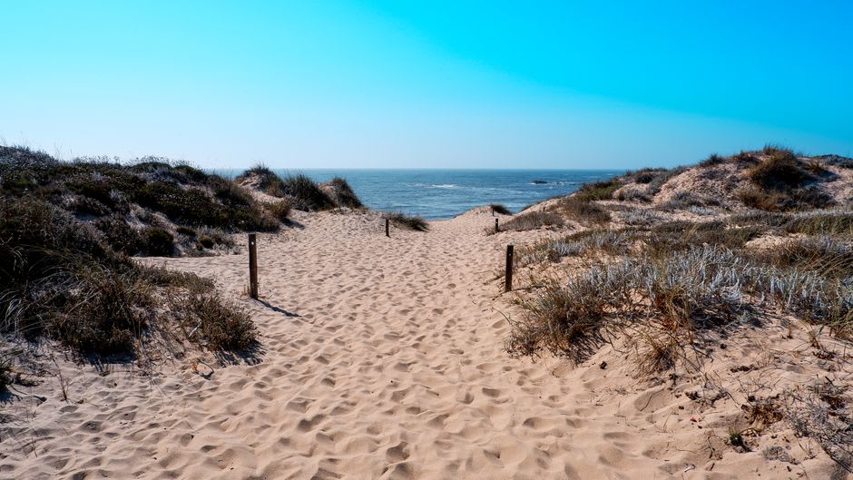 Wide Atlantic beach with dunes and rolling surf on the ocean side of Costa Nova