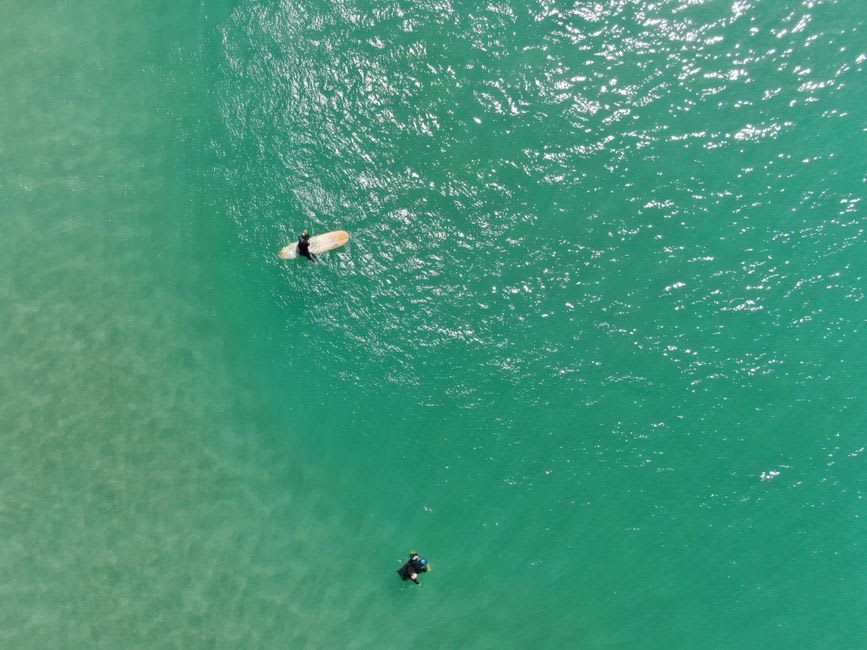 Surfers paddling out through Atlantic waves at Praia do Tonel beach below Sagres, wetsuits dark against the swell