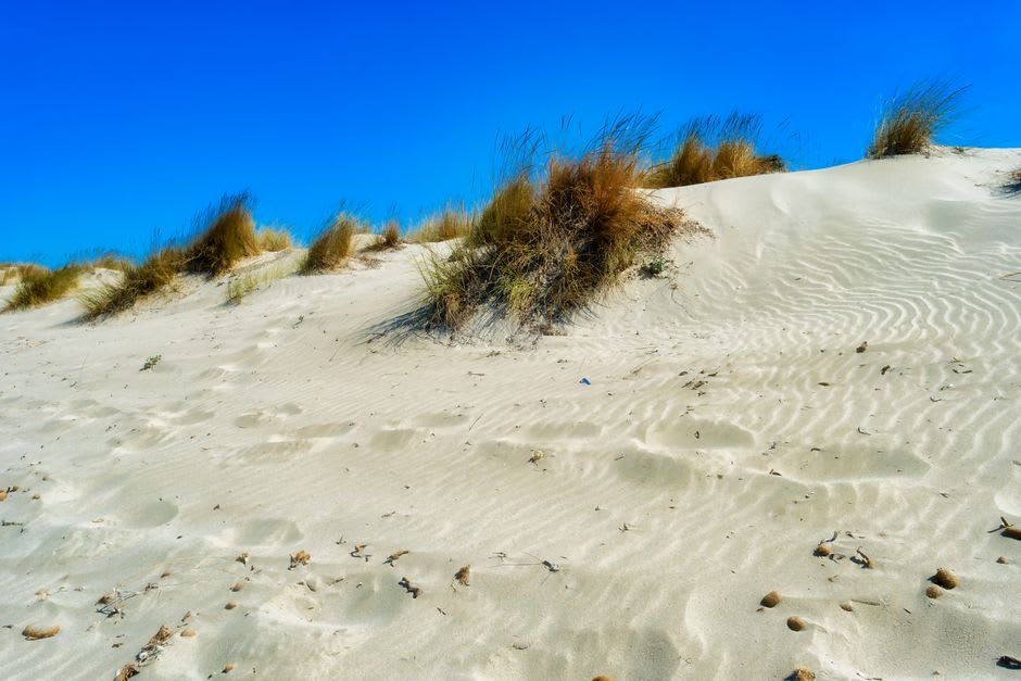 Dunas de arena esculpidas por el viento con pastos de playa en Brackley Beach