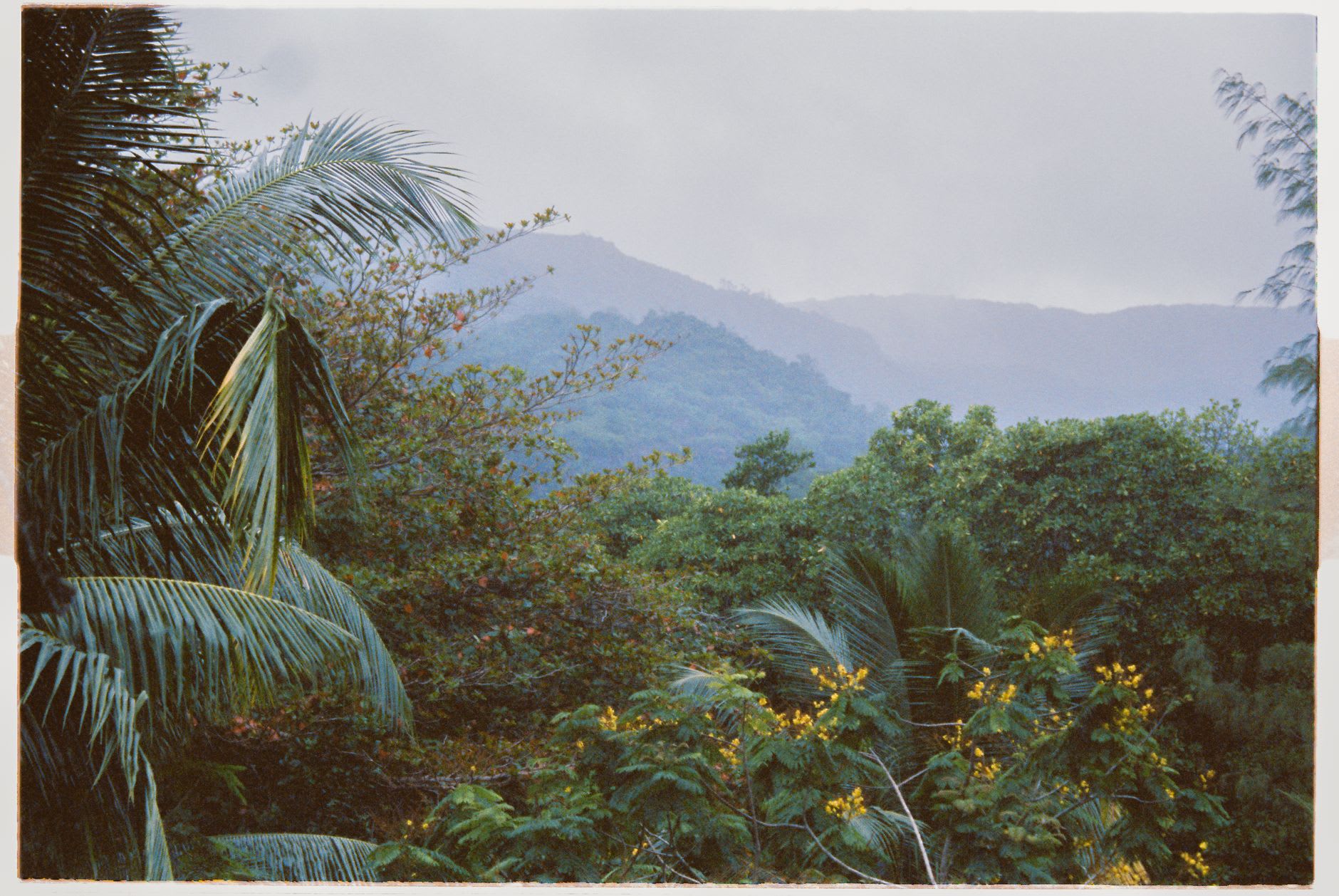 La Mina waterfall cascading into a clear green pool surrounded by tropical vegetation
