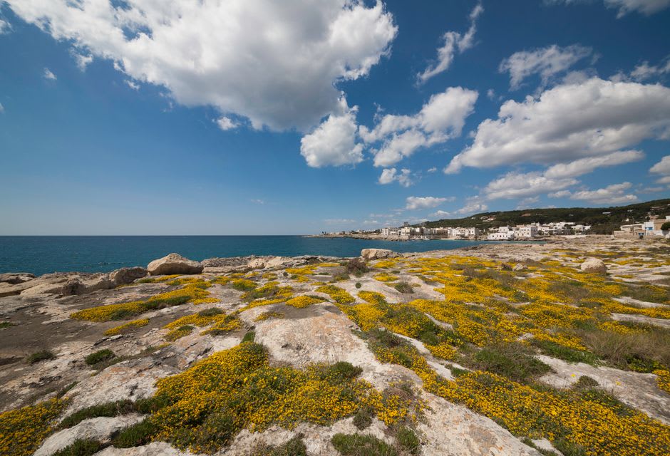 Clear shallow water and gently sloping sand at Campomarino di Maruggio, pine trees visible along the shoreline