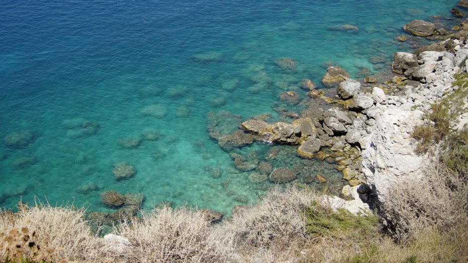 Eau turquoise transparente dans une petite crique rocheuse de l'île de San Domino, des pins poussant jusqu'au bord de la falaise au-dessus