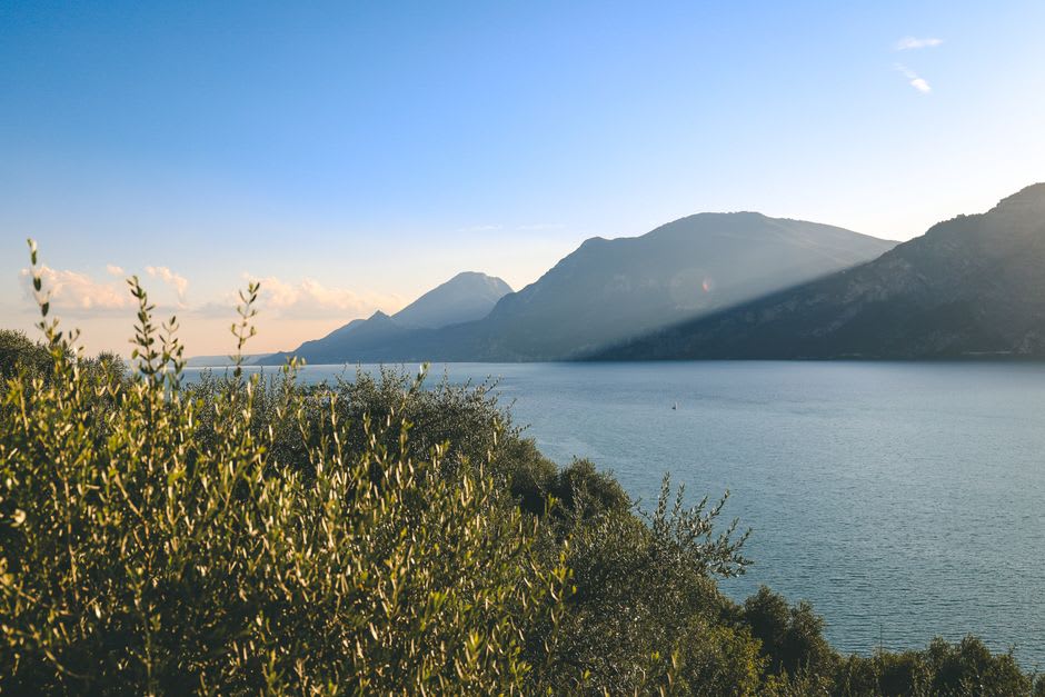 The narrow pine-forested strip separating Lago di Varano from the Adriatic, a channel of water cutting through toward the sea