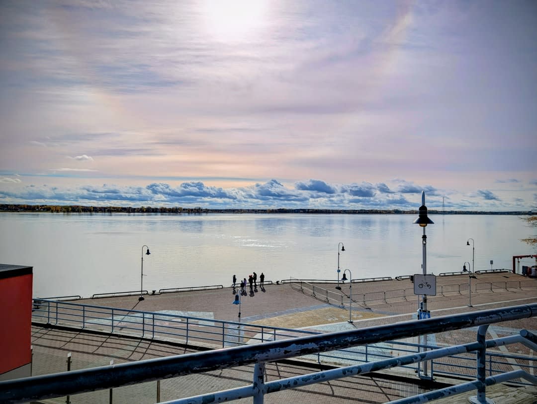 Des bélugas faisant surface dans les eaux peu profondes au large de Pointe-Noire, à Baie-Sainte-Catherine