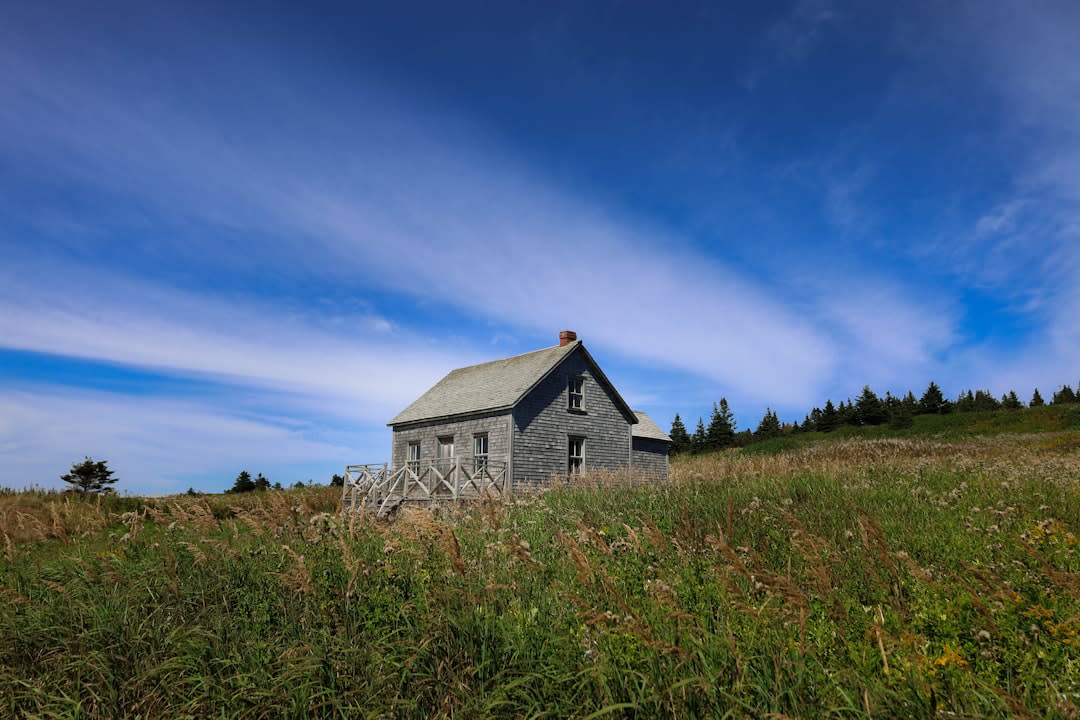 The weathered white fishing houses on Île Bonaventure's old settlement, framed by wildflower meadow with the cliff colony visible in the distance
