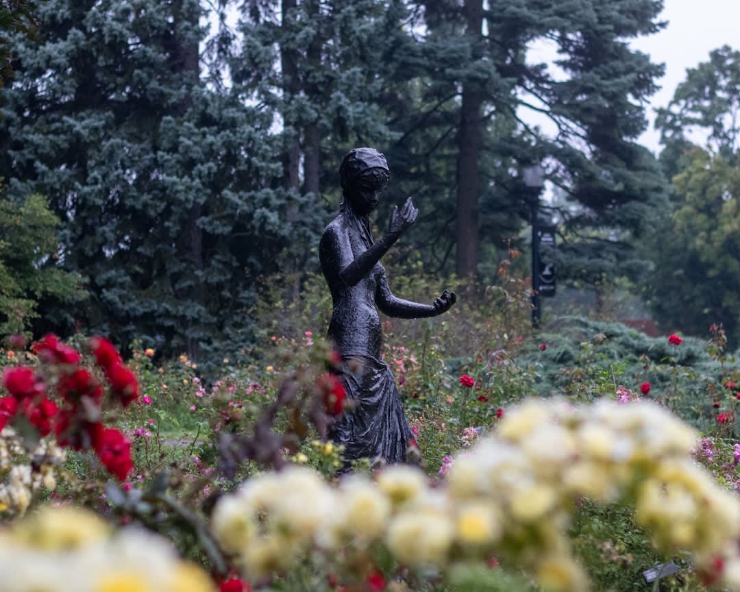 La grava rastrillada del Jardín Japonés y un solo arce rojo junto a un estanque reflectante tranquilo