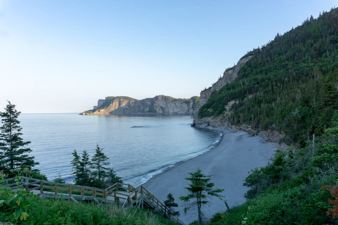 Fog lifting over the Les Graves coastal trail in Forillon with weathered spruce and the rocky shoreline below