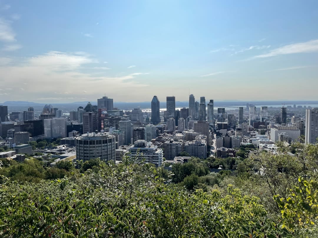 Le chemin Olmsted sinueux à travers une forêt d'érables sur le mont Royal en pleines couleurs automnales
