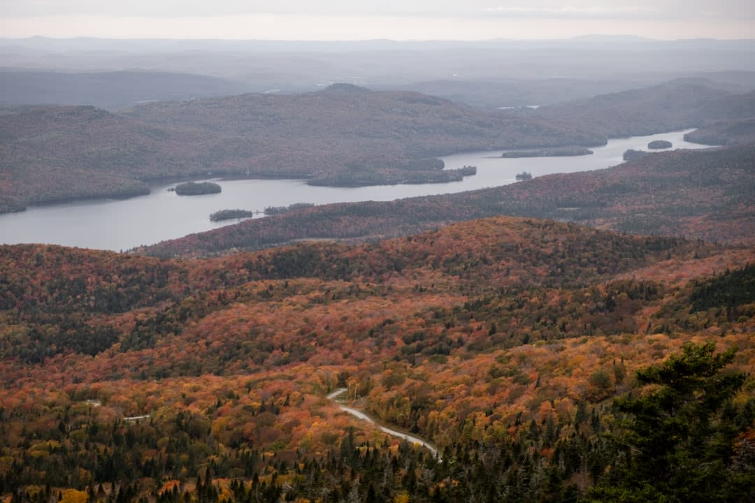 The village of Sainte-Rose-du-Nord seen from the hillside lookout at golden hour, the Saguenay fjord stretching away in both directions