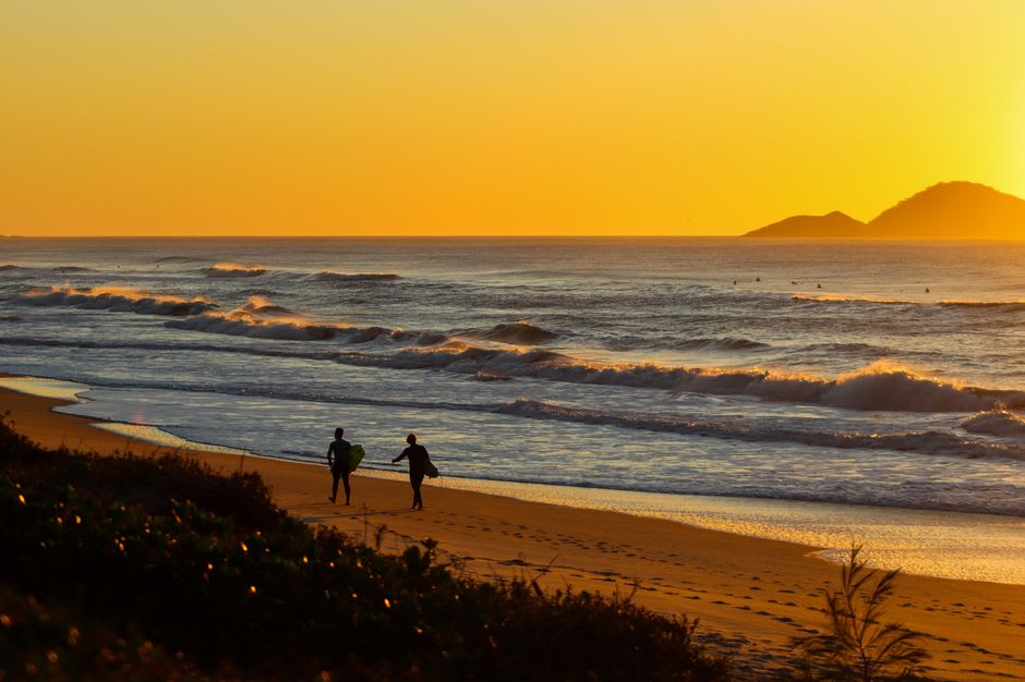 Surfistas remando mar adentro en la playa de Agnes Water al amanecer, olas bajas entrando bajo un cielo pastel