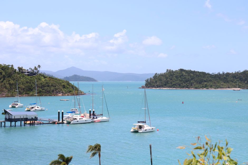 Veleros y catamaranes anclados en la marina de Airlie Beach con colinas verdes elevándose detrás del paseo marítimo