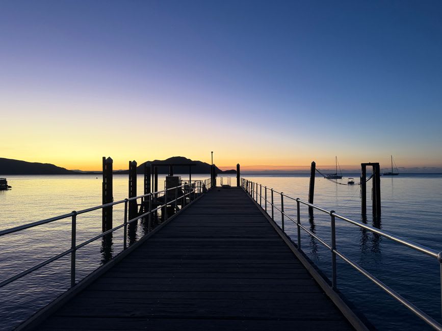 El área de baño de la Airlie Beach Lagoon al atardecer, palmeras siluetadas contra un cielo naranja con gente relajándose en el césped