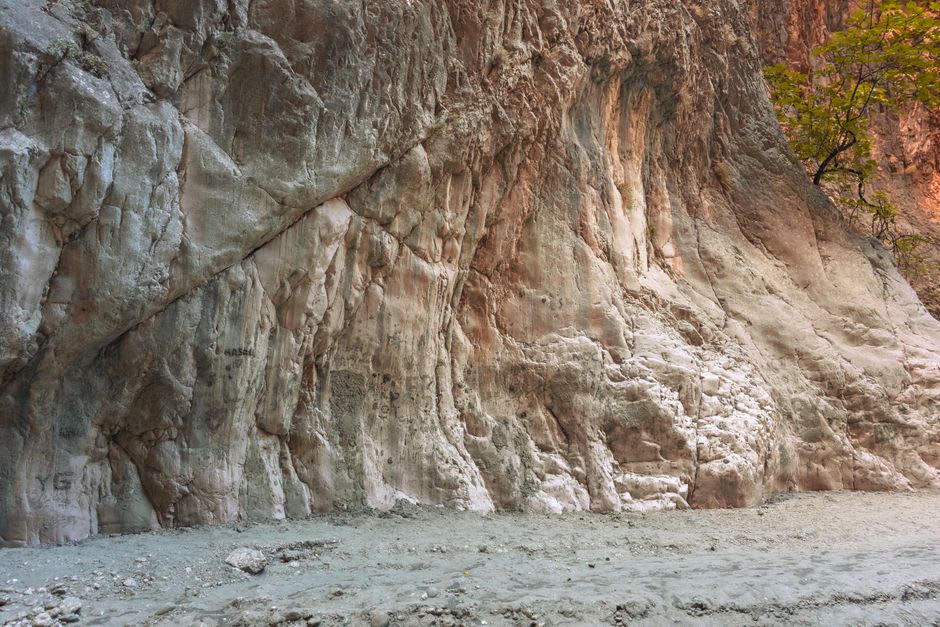 Las paredes de arenisca de Carnarvon Gorge brillando en naranja bajo la luz de la tarde sobre el arroyo bordeado de árboles