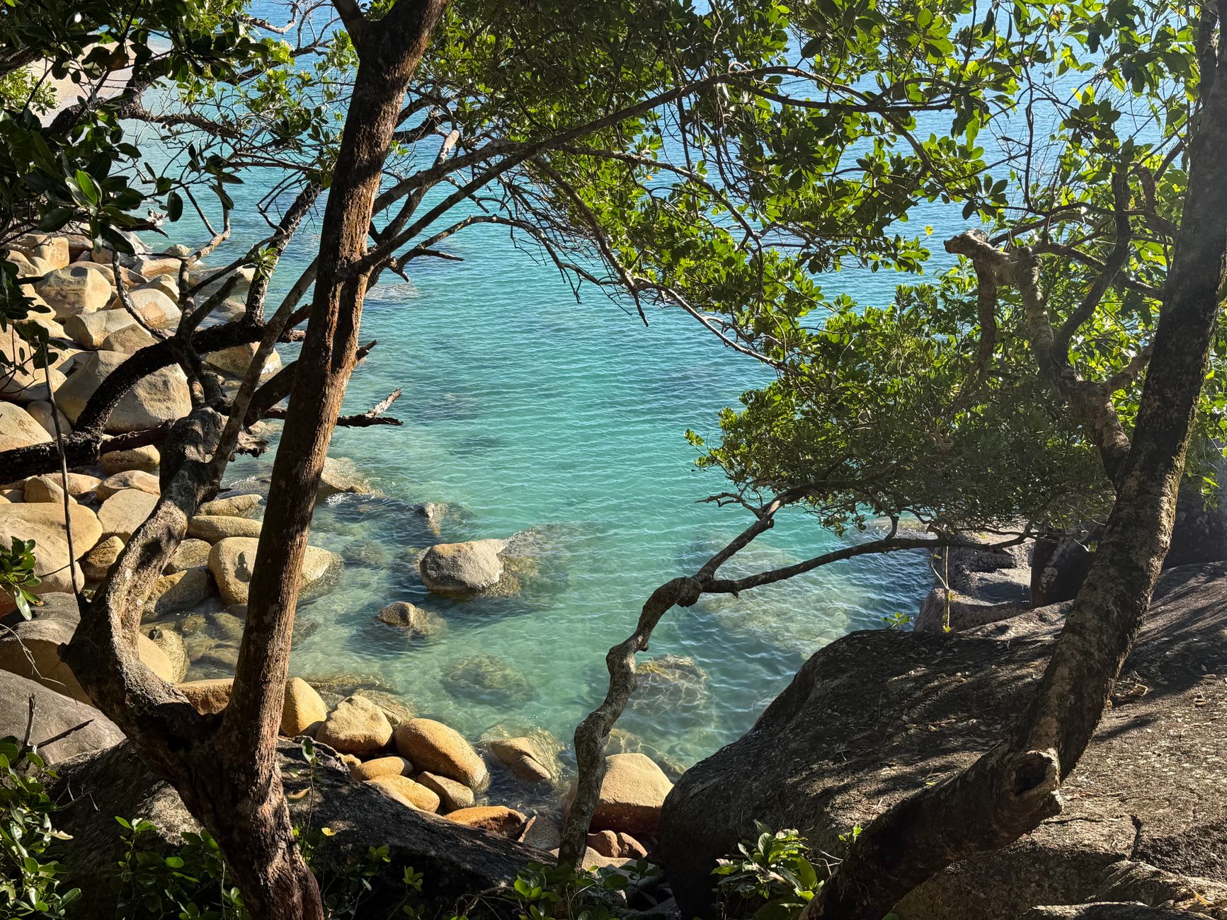 Horseshoe Bay on Magnetic Island, ancient granite boulders dropped at the edge of turquoise water, coastal eucalyptus leaning toward the sea