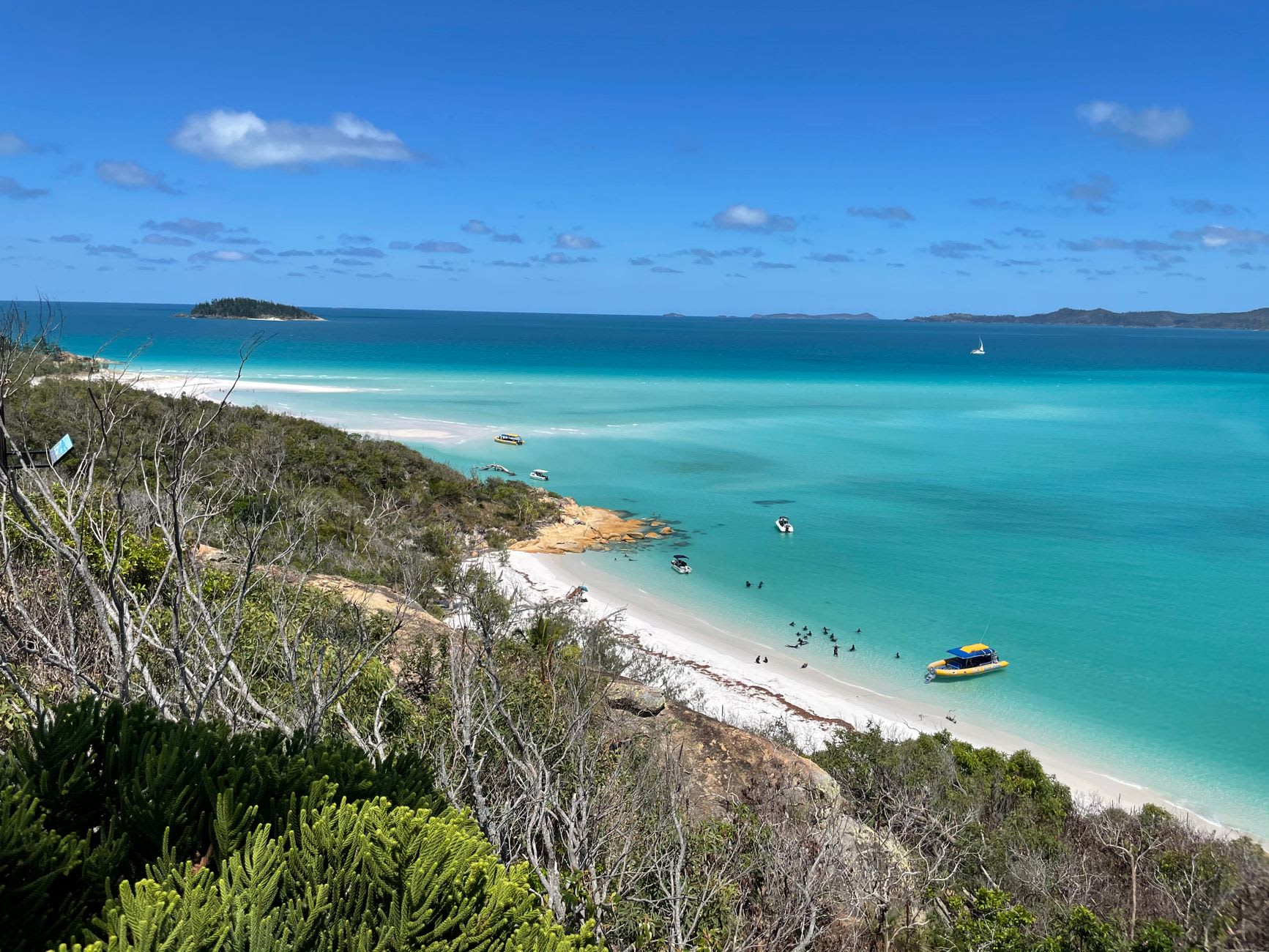 Hill Inlet at low tide, swirling white sand meeting turquoise water, viewed from the lookout on Whitsunday Island