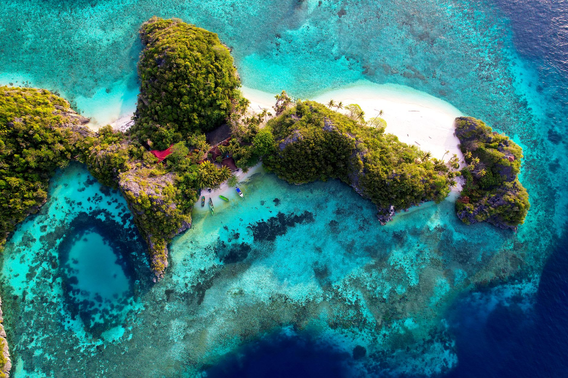 Tiburón alfombra wobbegong descansando en el fondo arenoso en las aguas poco profundas cerca de la isla Kri al atardecer, Raja Ampat