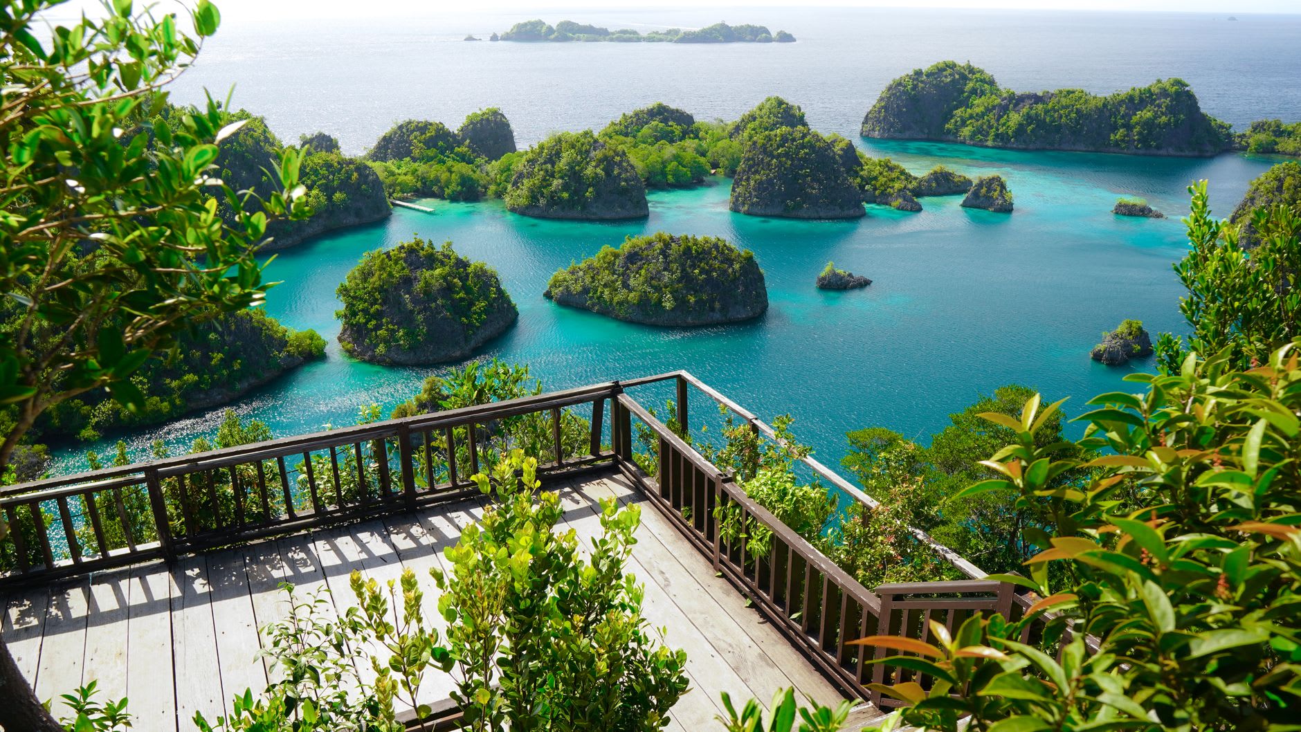 Chenal de mangroves près de l'île Penemu avec une eau limpide révélant des poissons juvéniles se réfugiant entre les racines, Raja Ampat