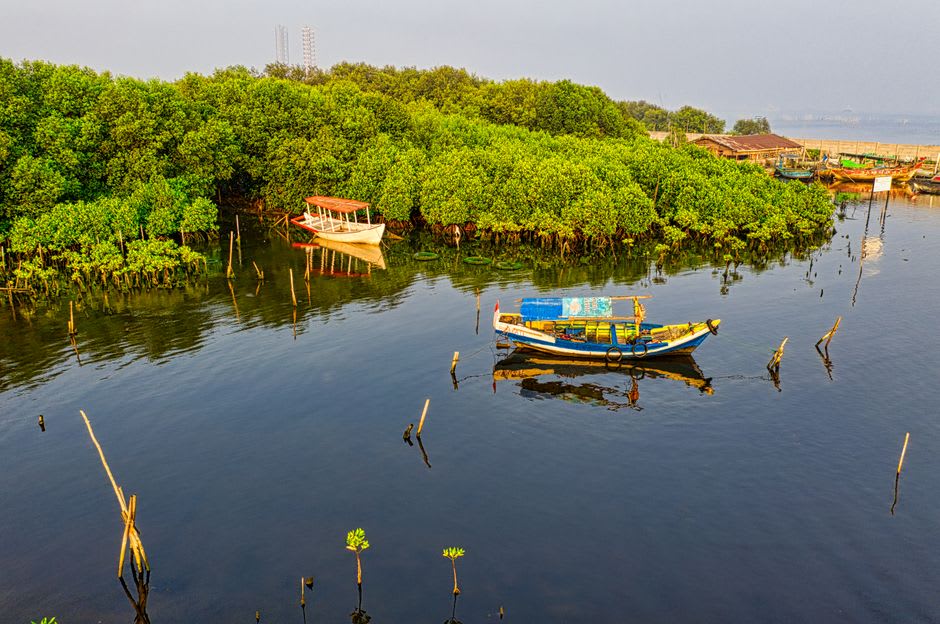 Wooden canoe navigating a mangrove creek on Salawati Island