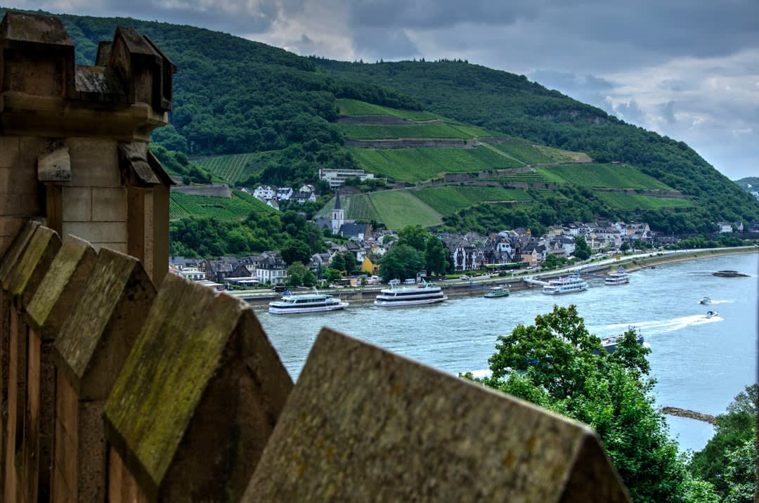 View from Rheinfels Castle's ruined ramparts across the vineyards and river bends of the Rhine Gorge
