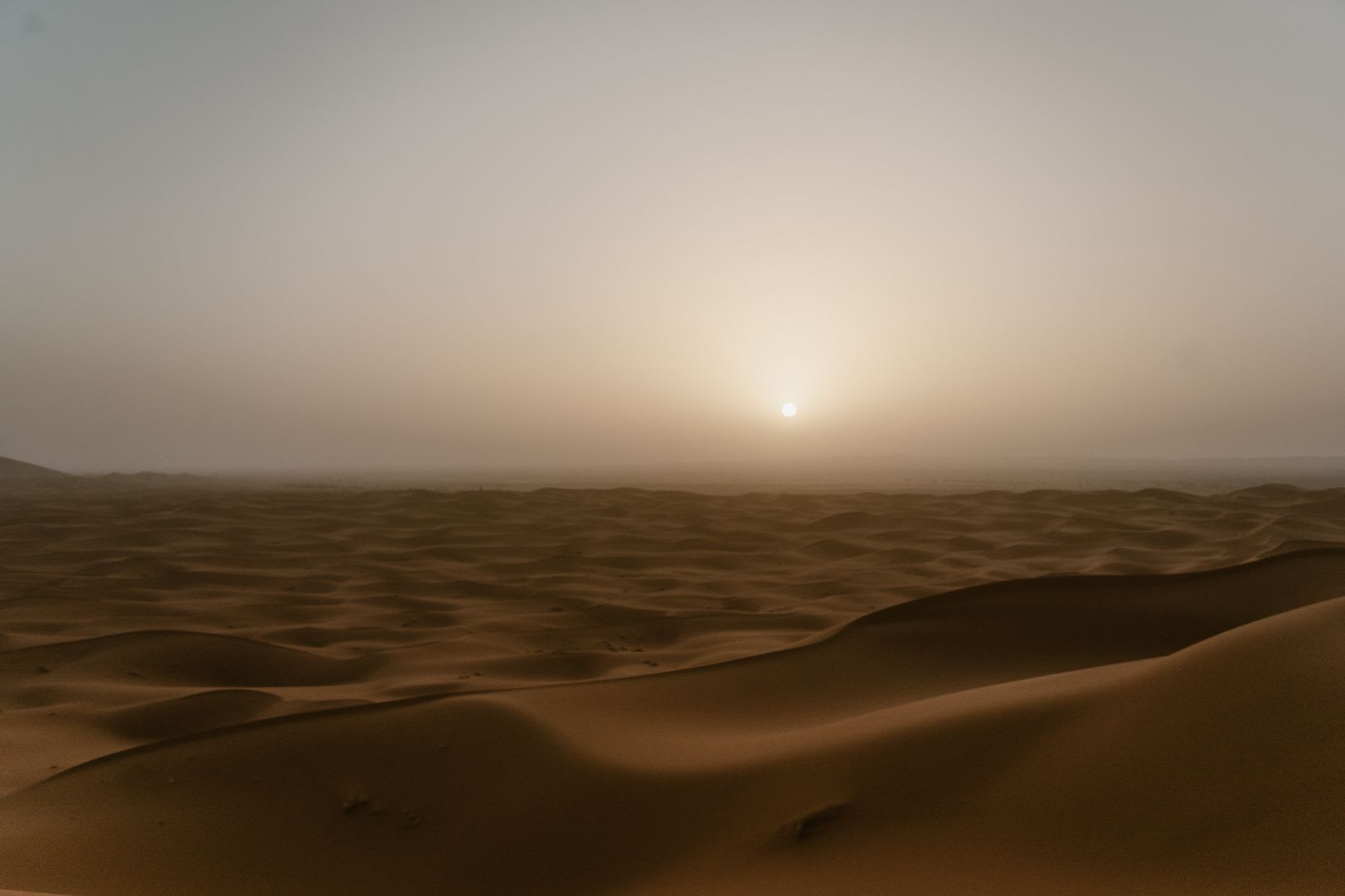 Pre-dawn light over the Erg Chebbi dunes, sand smooth and completely untracked
