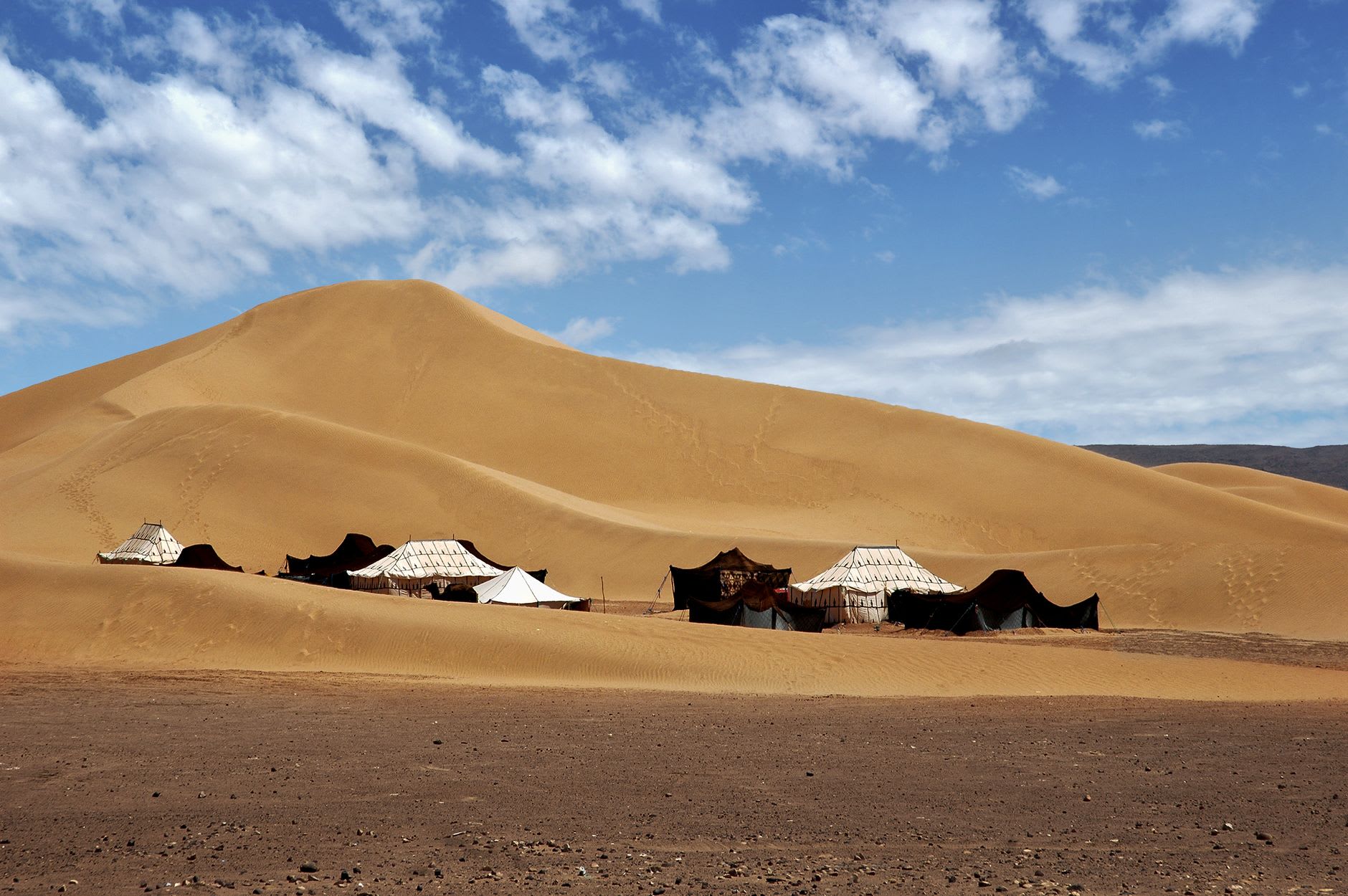 Traders and livestock at the Monday souk in M'Hamid, blue robes and desert light