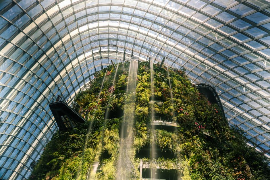 Interior del invernadero de cristal de selva tropical en el Jardín Botánico de Nevis con orquídeas y una pequeña cascada
