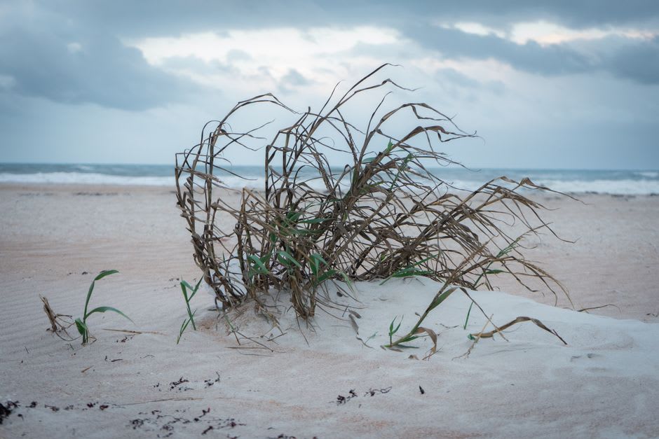The windswept Atlantic side beach at Frigate Bay with rougher surf and dune grass