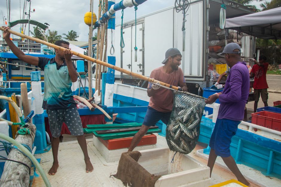 Pescadores descargando la pesca del día en el muelle del puerto de Dennery, en la costa atlántica de Santa Lucía