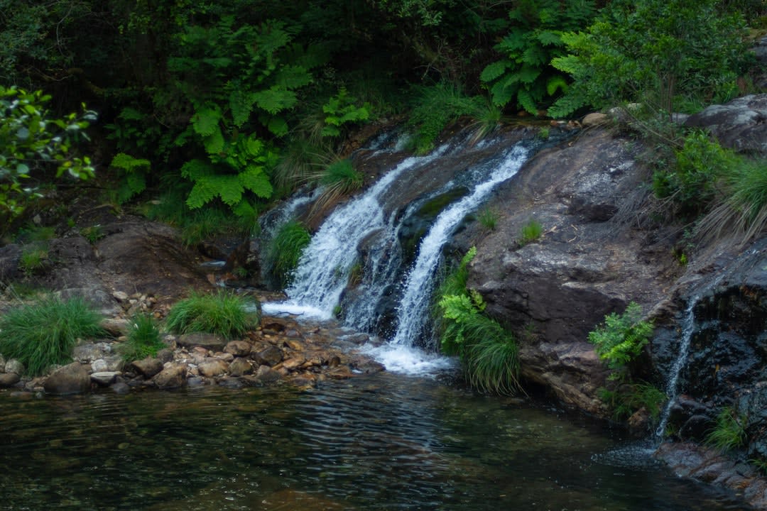 La chute principale de Toraille se jetant dans un bassin rond et peu profond bordé de fougères tropicales