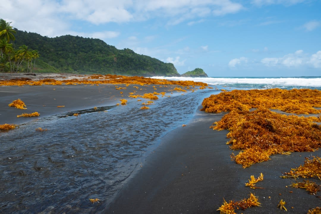 The black volcanic sand beach at the Falls of Baleine landing, with the river mouth opening toward the boat approach