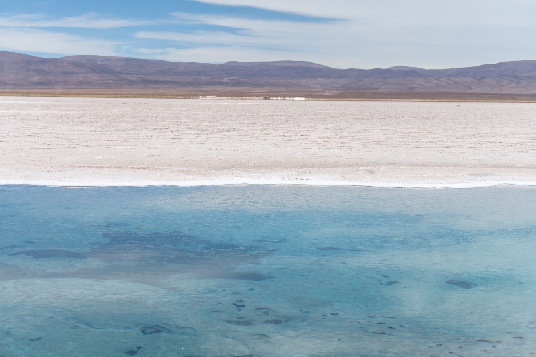 A salt worker using a rake to harvest the white salt crust, knee-deep in a shallow brine pool on the Salinas Grandes