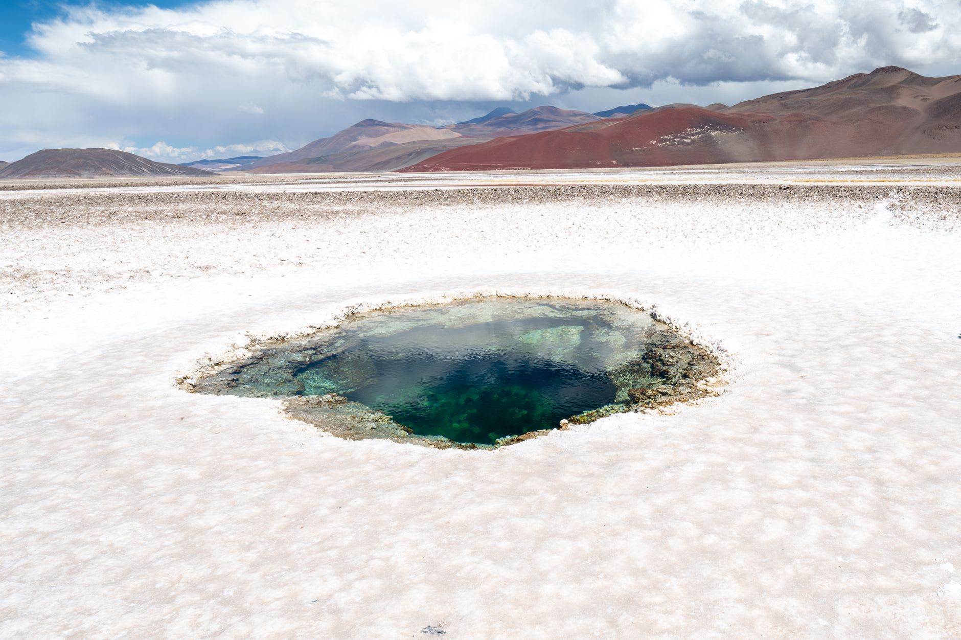 The geometric hexagonal salt crust patterns on the Salinas Grandes surface, each hexagon slightly raised at its edges in the afternoon light