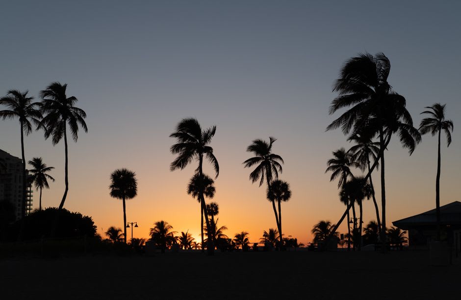 Namua Island beach at dusk, palm silhouettes against a darkening sky over the reef