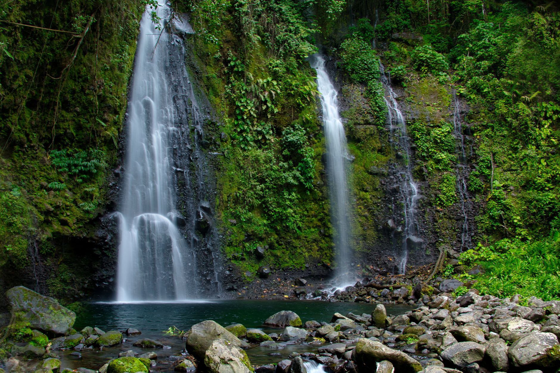 Papapapaitai Falls viewed from the Cross Island Road lookout, the full drop visible through gaps in the canopy