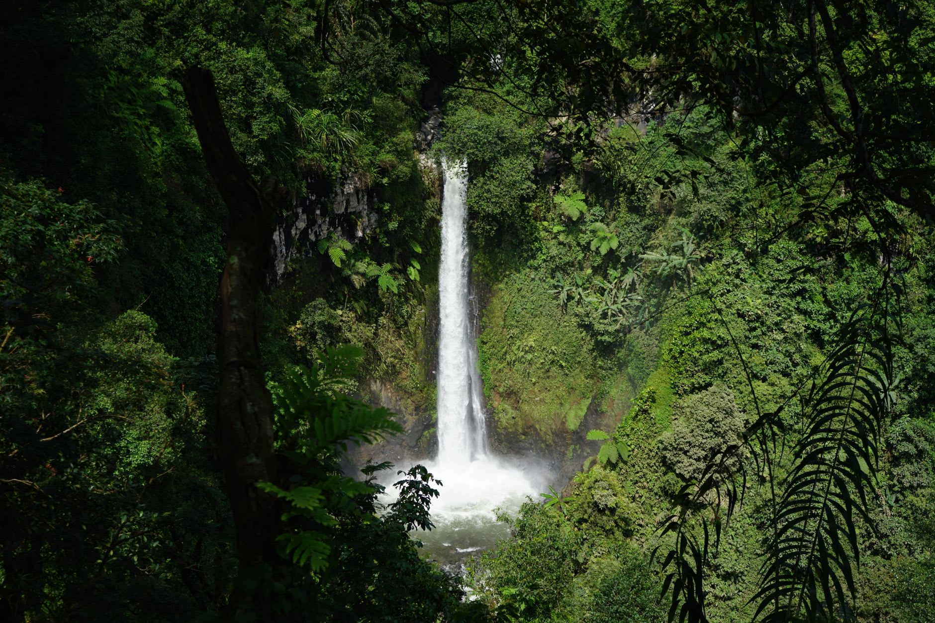 The gorge below Papapapaitai Falls, dense forest and the mist column from the waterfall base visible against the cliff face