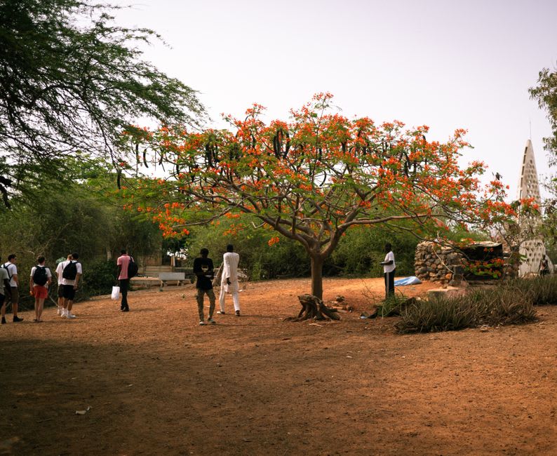 The gardens and grounds of Keur Moussa monastery in the hills near Thiès, Senegal