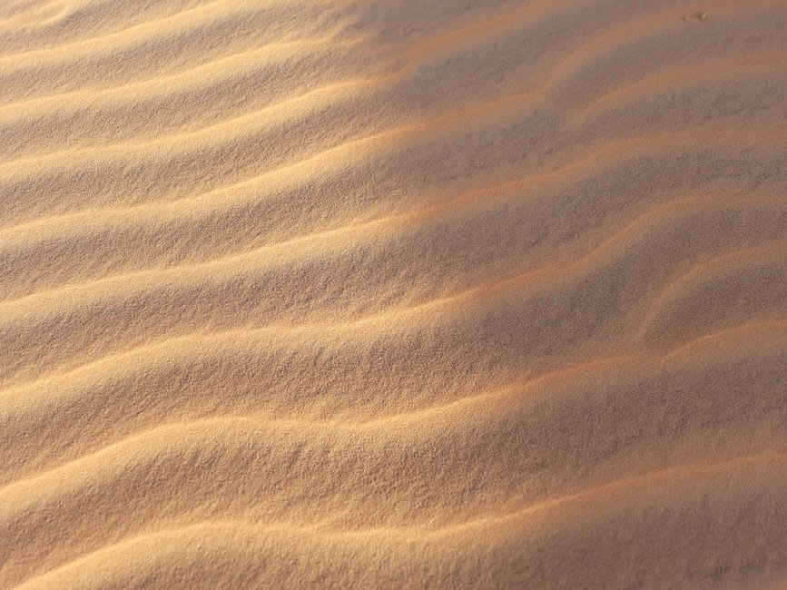 Sunset light over the dunes of the Lompoul desert in Senegal