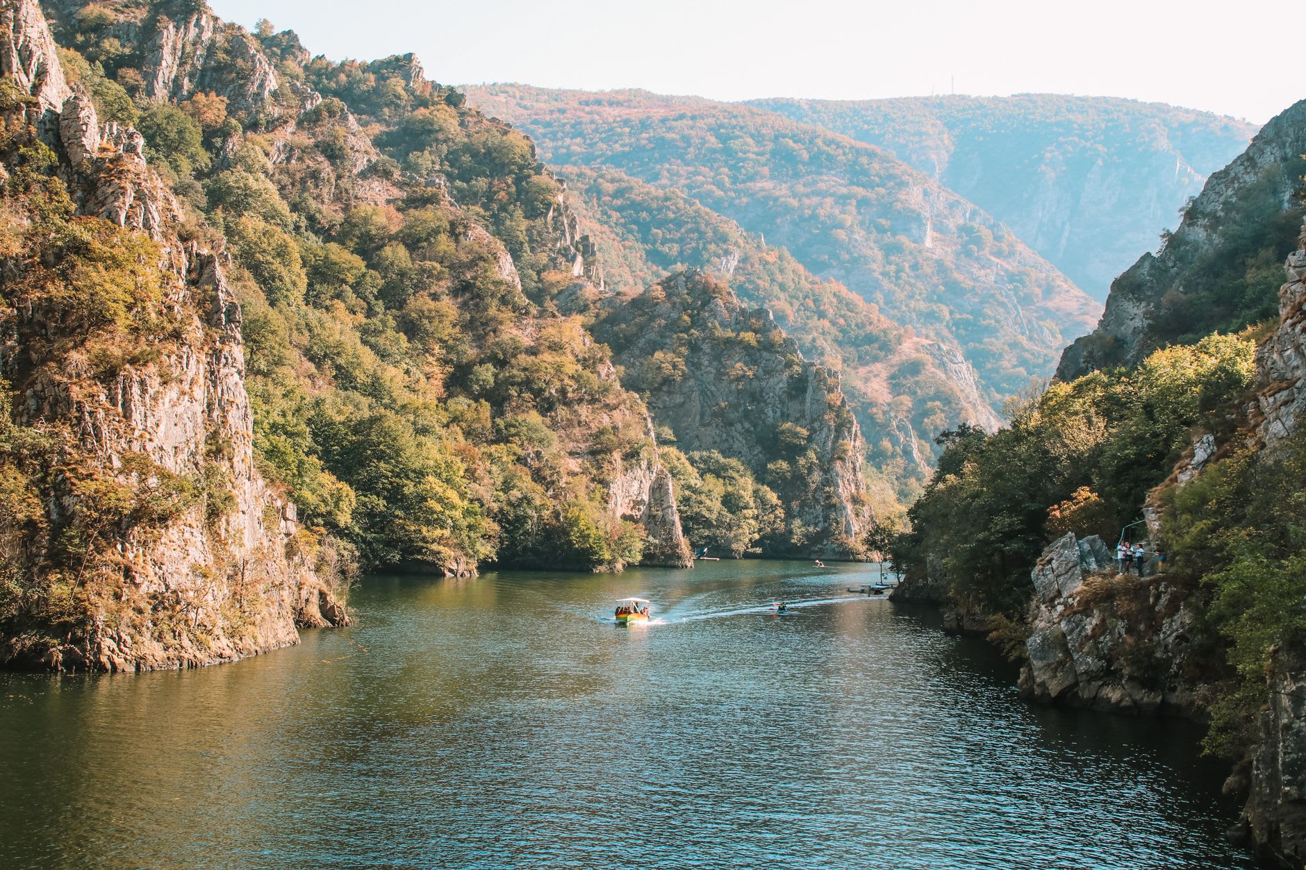 A griffon vulture with broad fingered wings gliding low over the green water of the Uvac canyon, pale limestone cliffs rising behind it