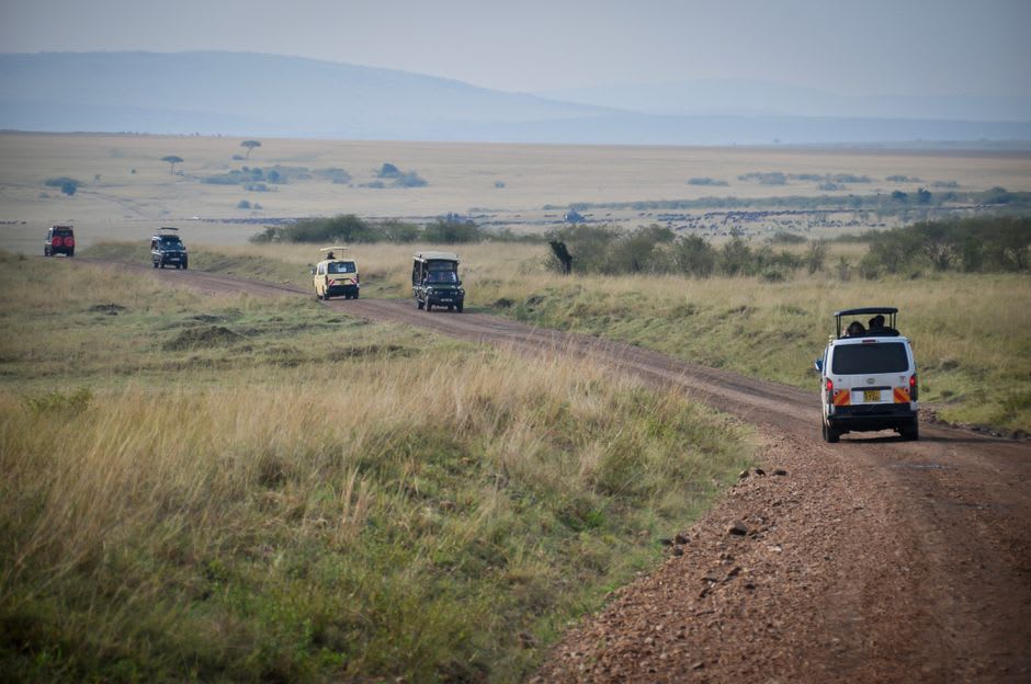 Safari vehicles parked at the picnic area below Naabi Hill Gate with wildebeest herds visible on the plains