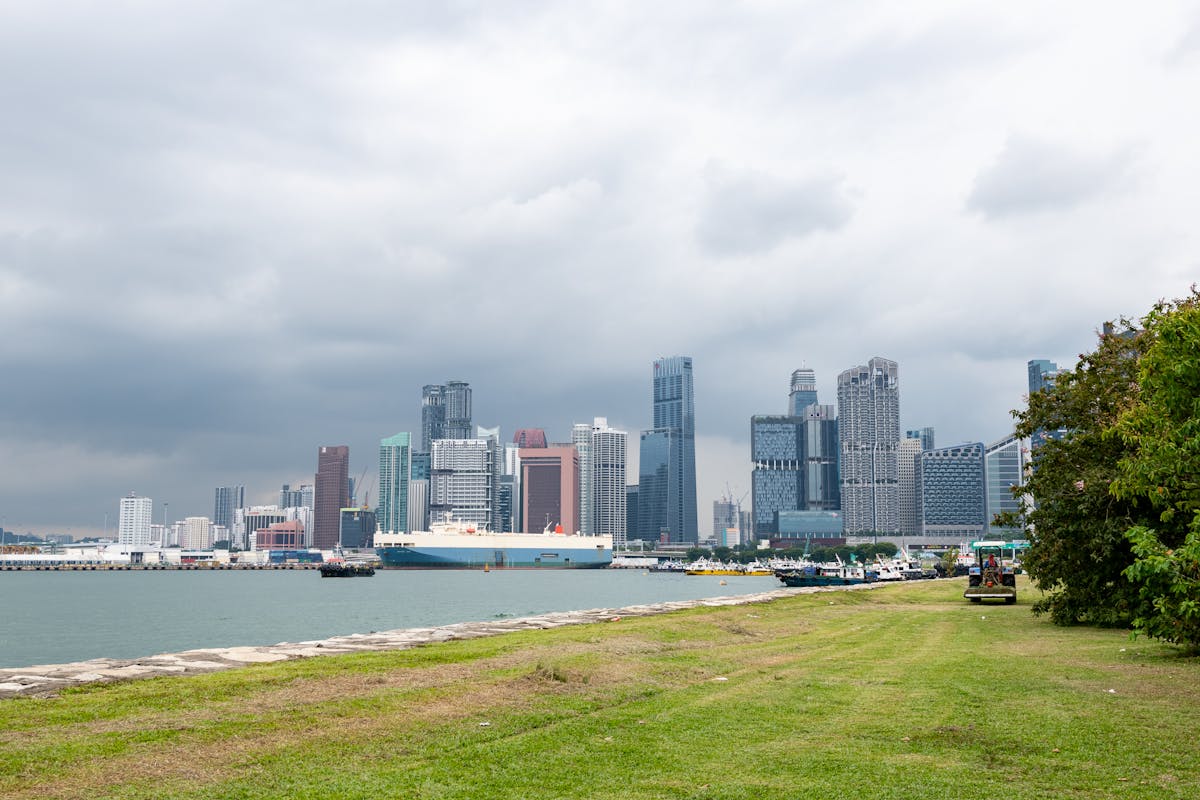 Cyclists riding along the palm-lined East Coast Park path with ocean views